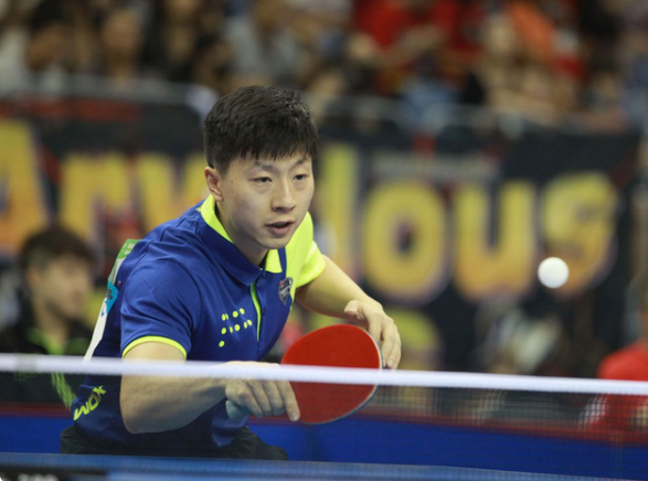 的参与者 的参与者