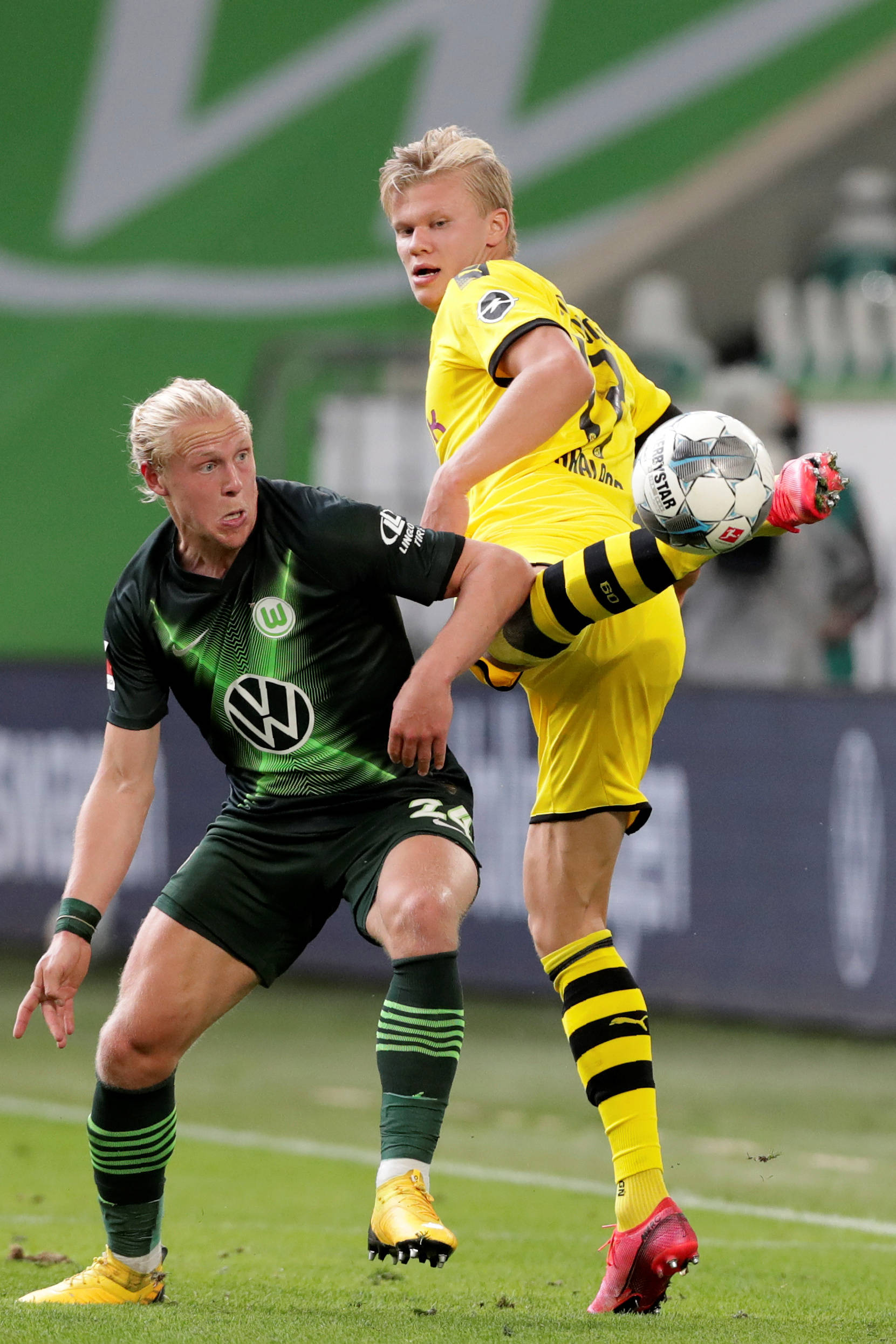 本文将深入 本文将深入